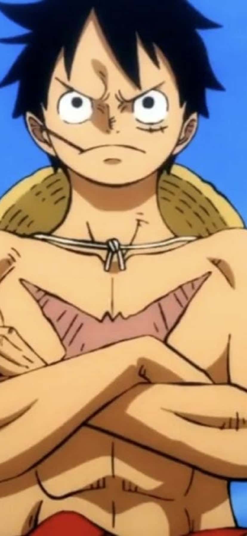 Netflix Reveals Cast For One Piece 